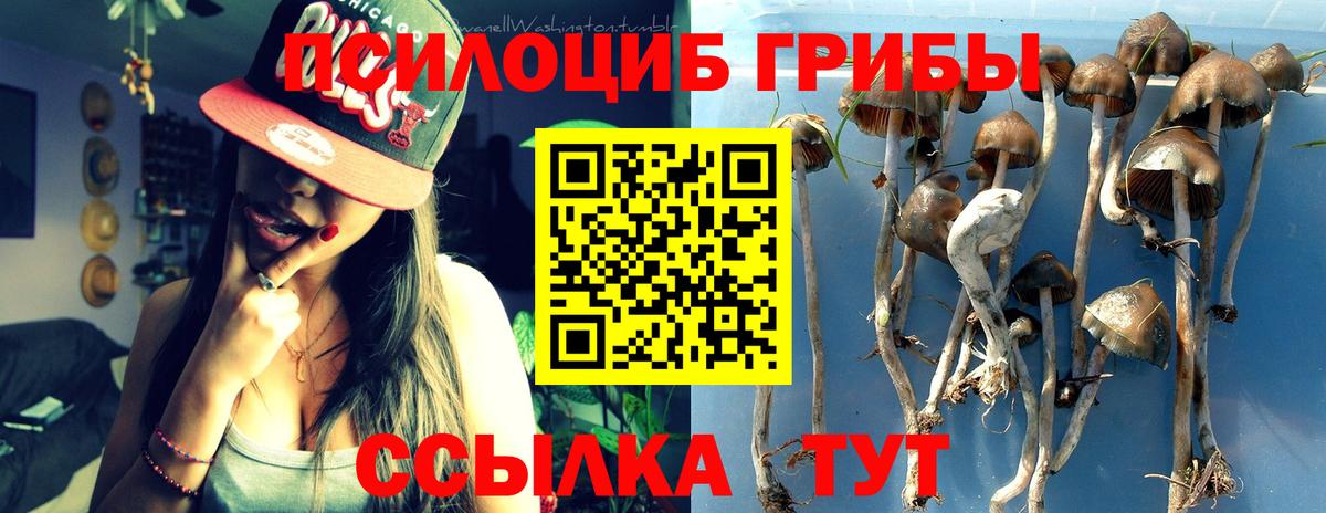Галлюциногенные грибы прущие грибы Шарыпово